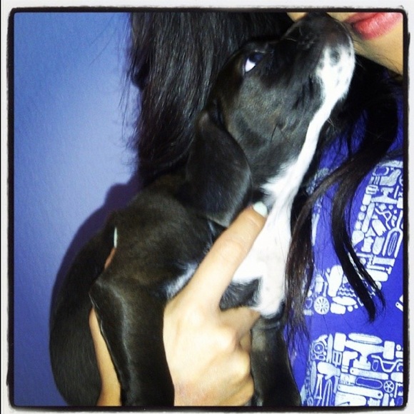 Meet your Posh Ambassador, Cristina - Picture 2 of 10